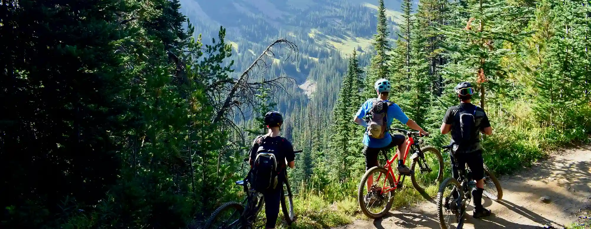 The Pro's Closet - TPC