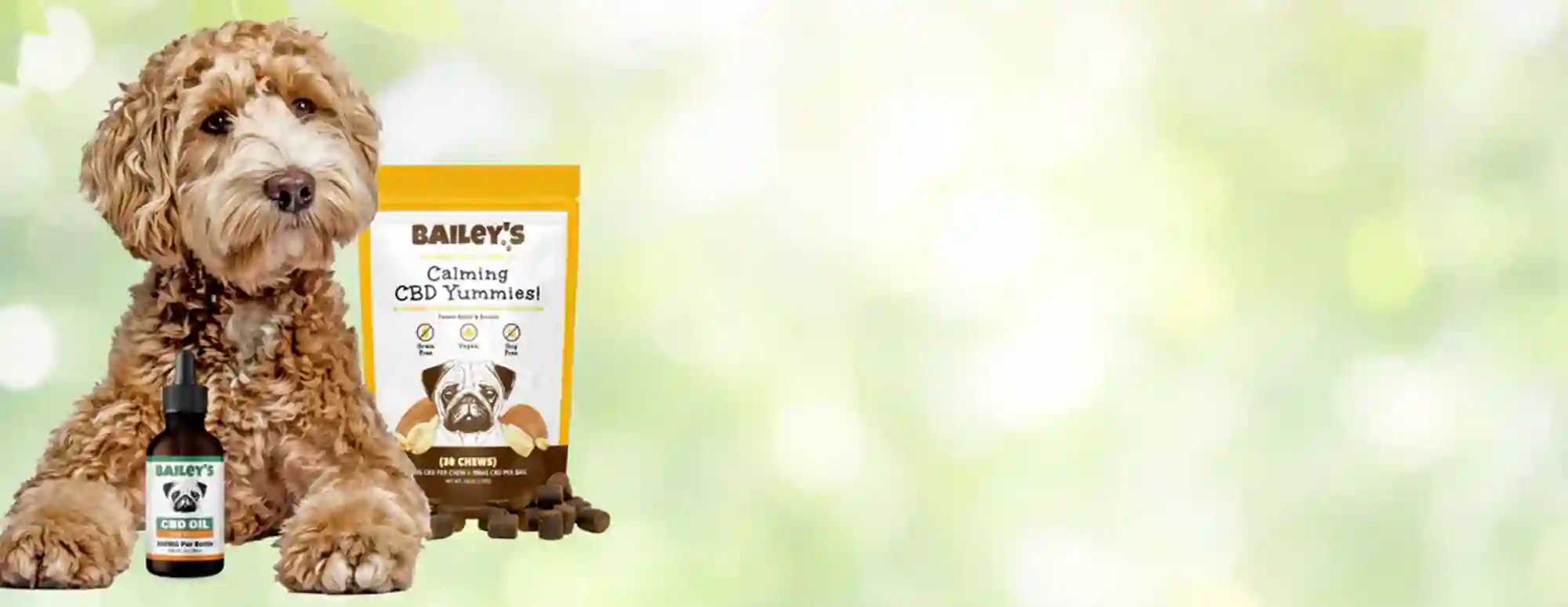 Bailey's CBD For Pets