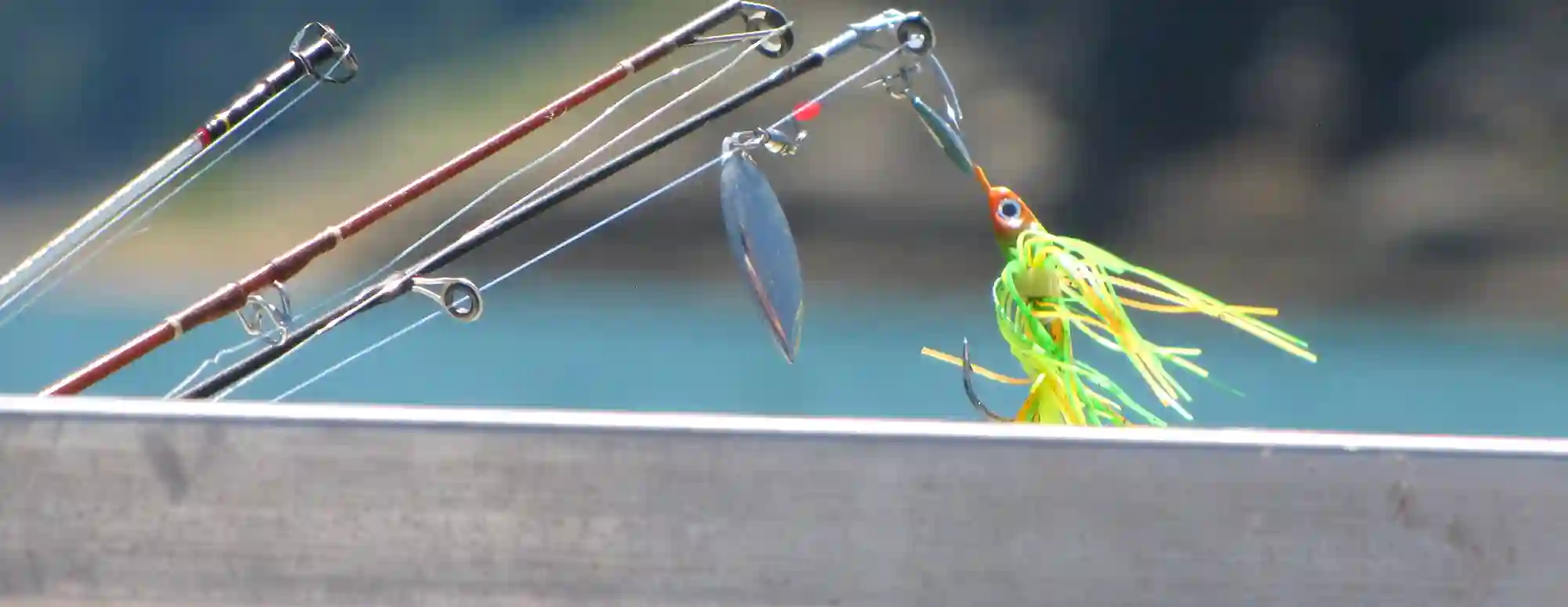 Berkley Fishing