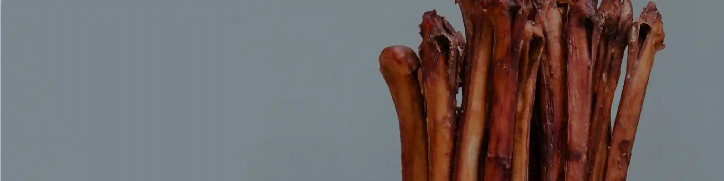 Bully Stick US