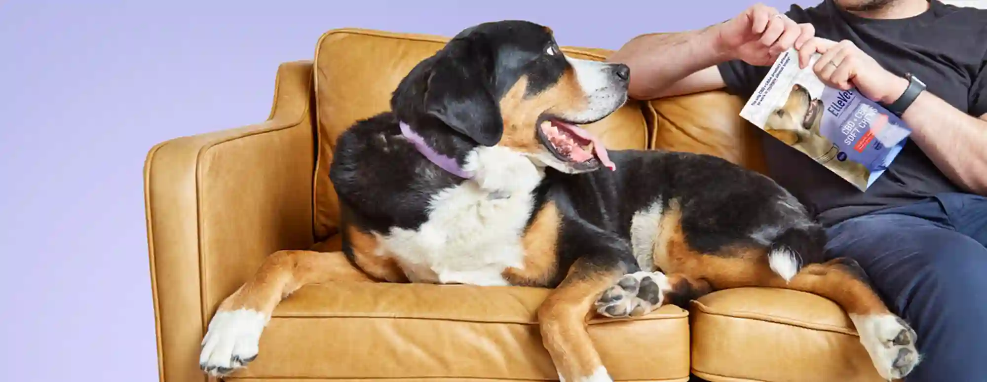 ElleVet Sciences