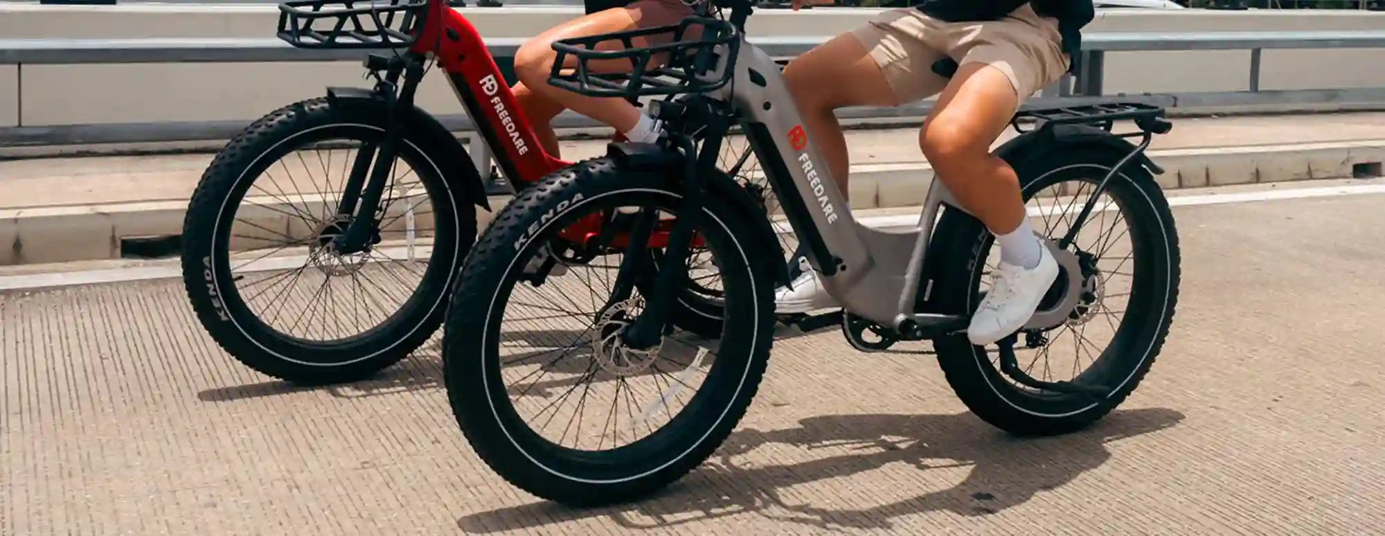Freedare E-bike