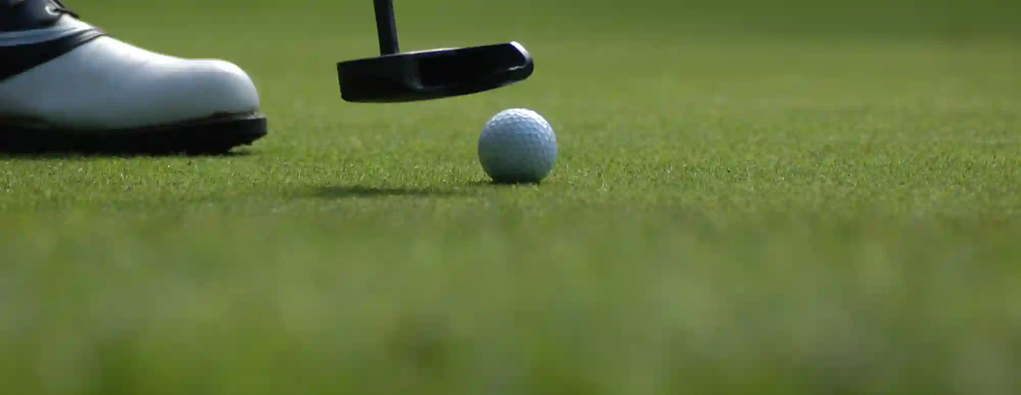 G/Fore