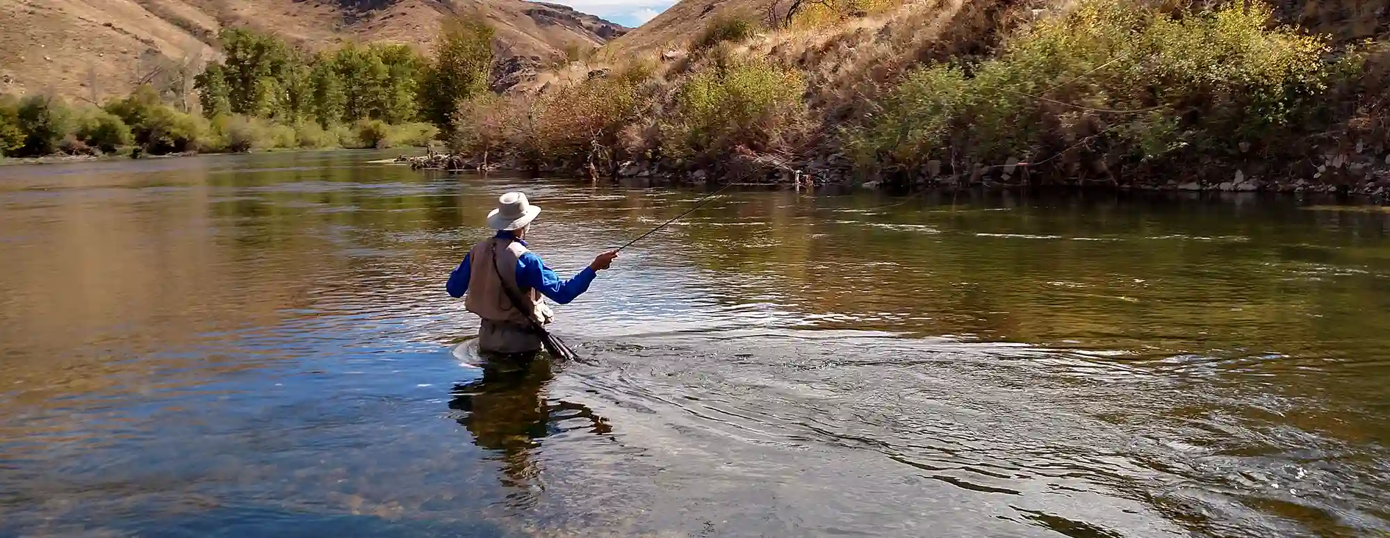 Greys Fishing