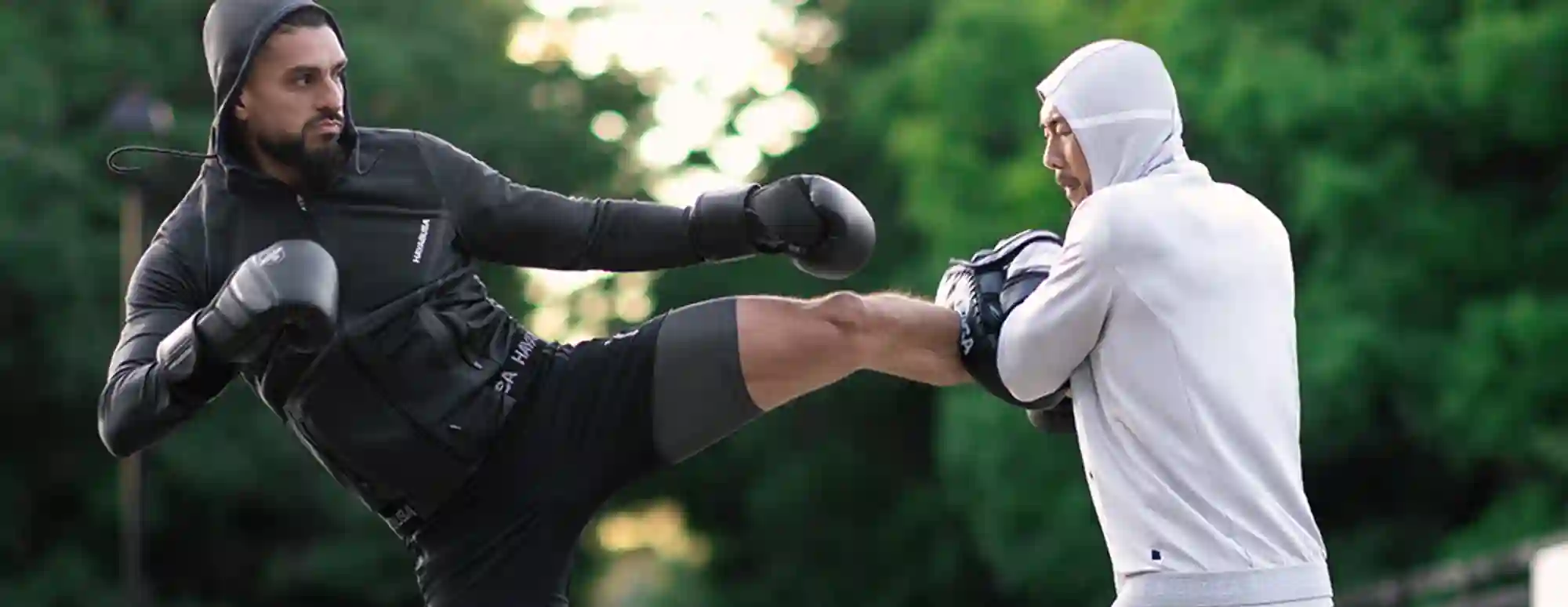 Hayabusa Fight