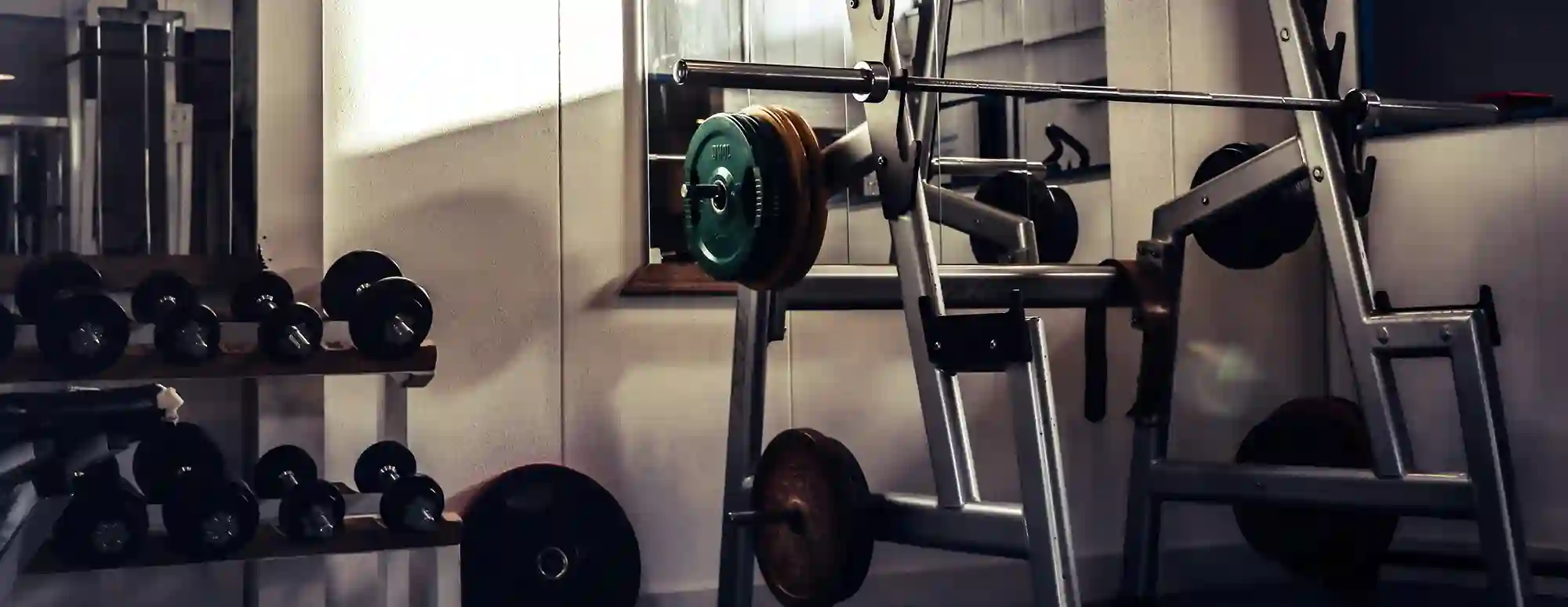 Major Fitness