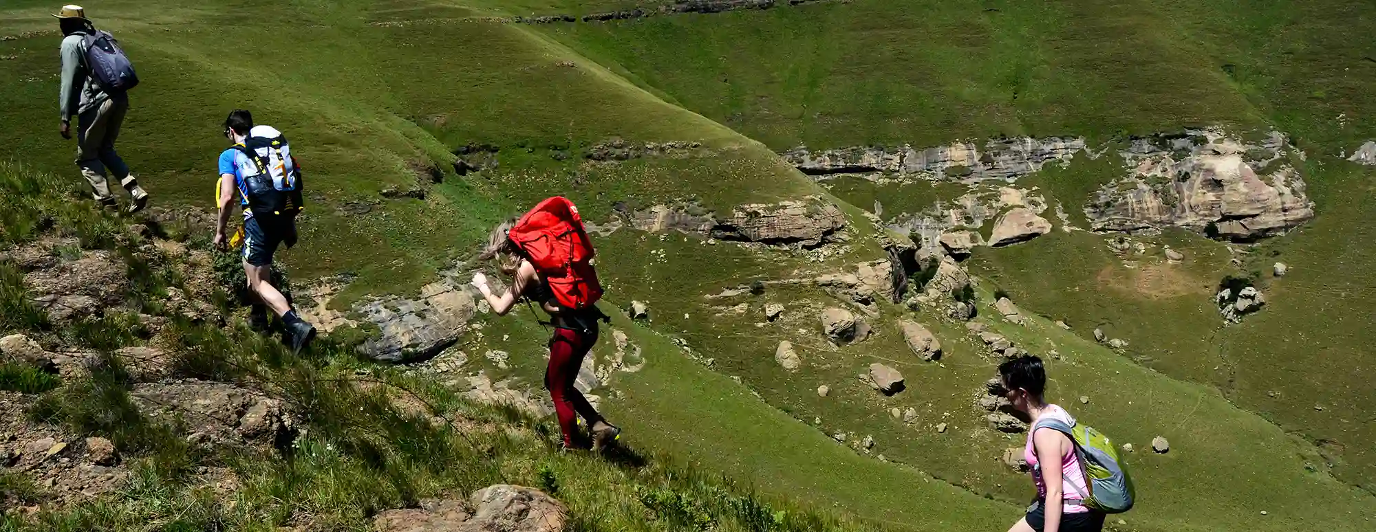 Mammut 