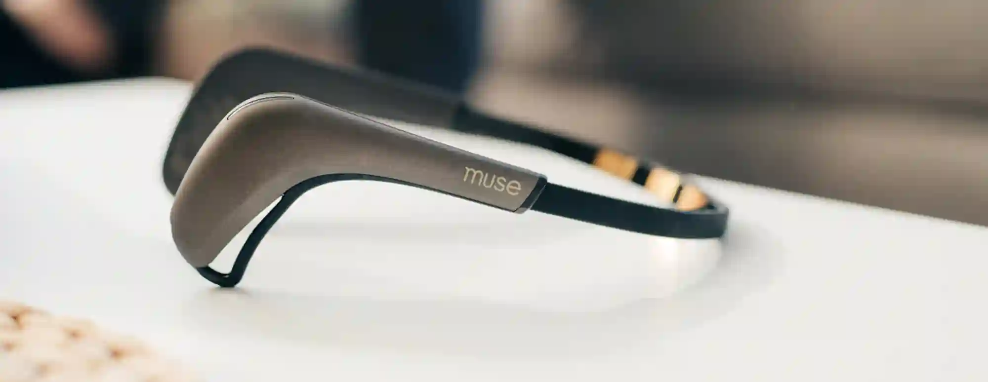 Muse