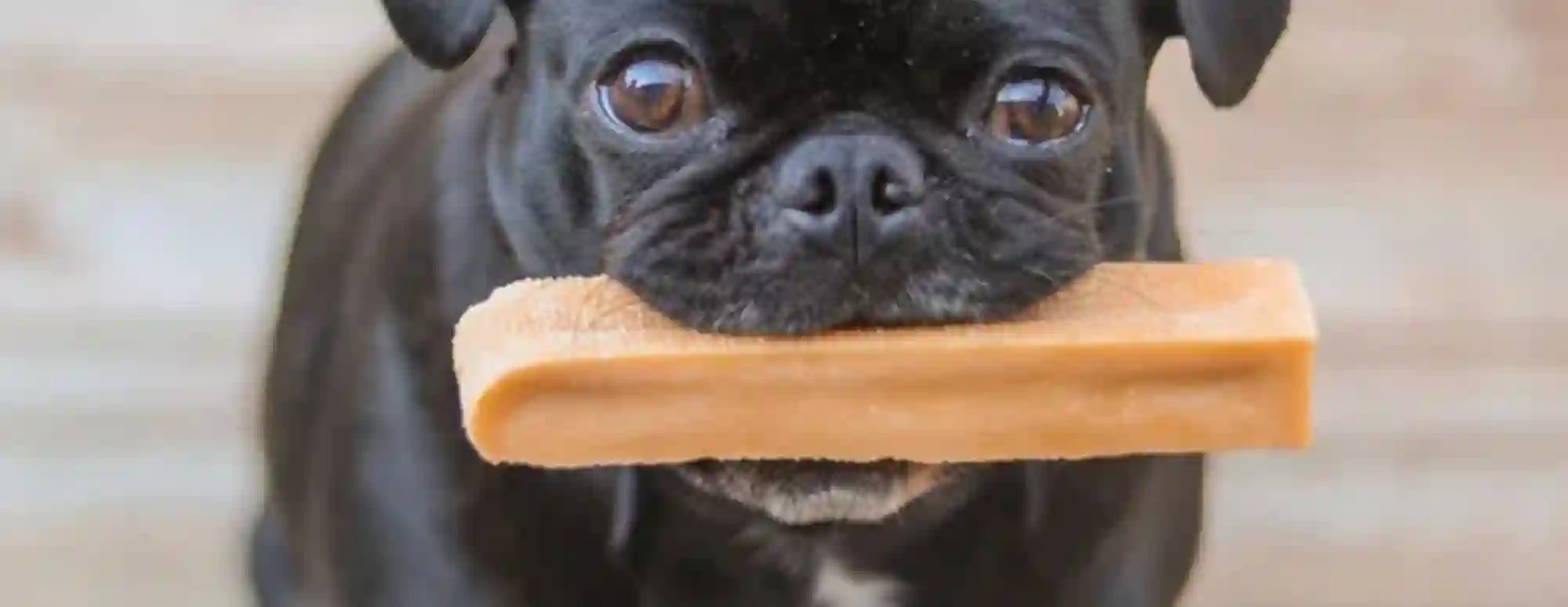 Pawstruck