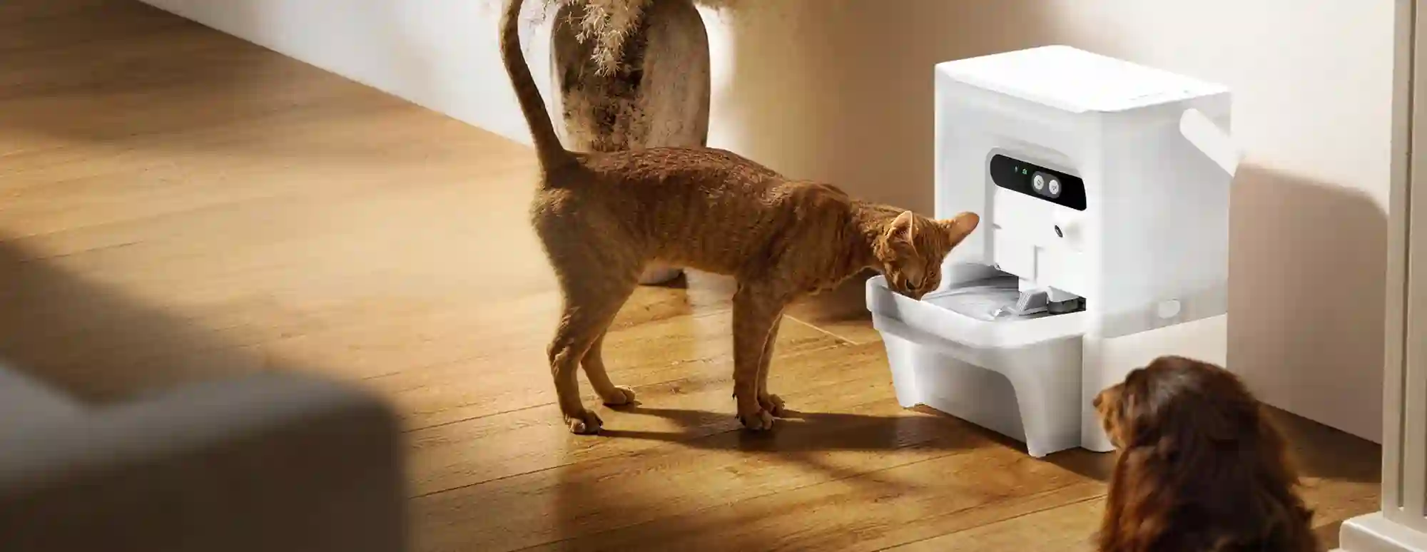 Petkit