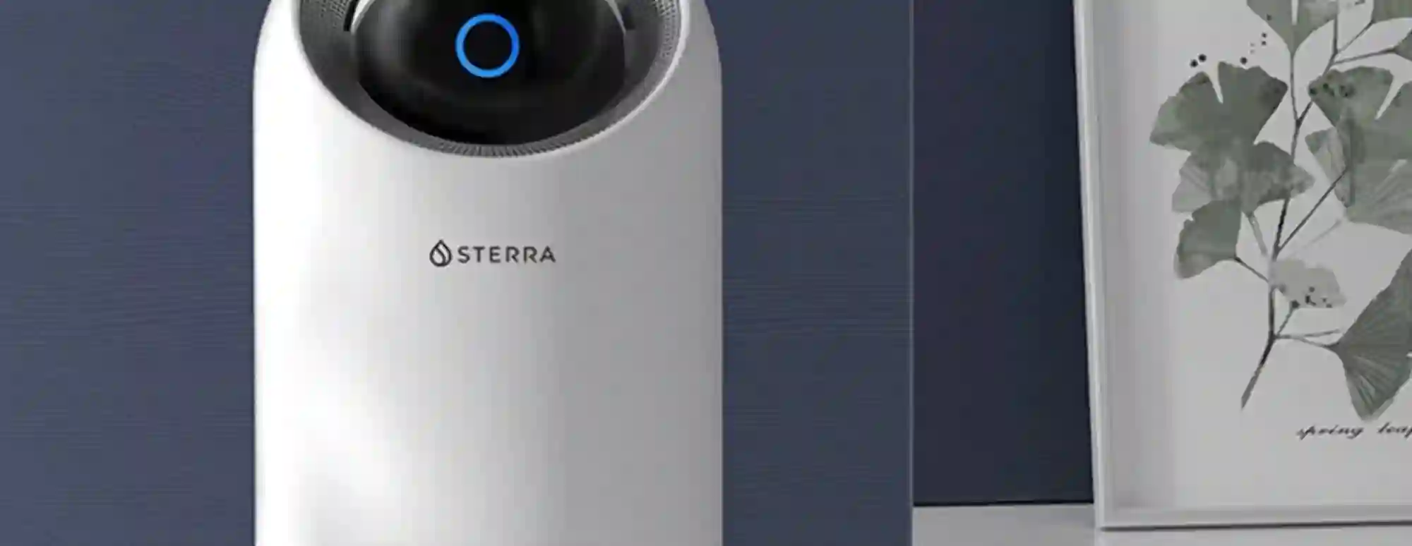 Sterra