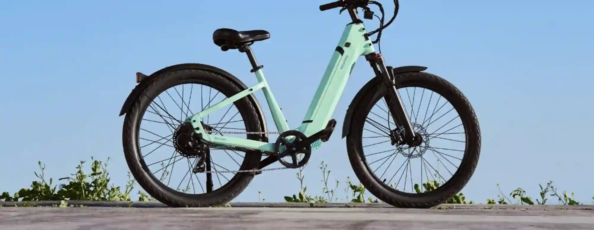 Velotric