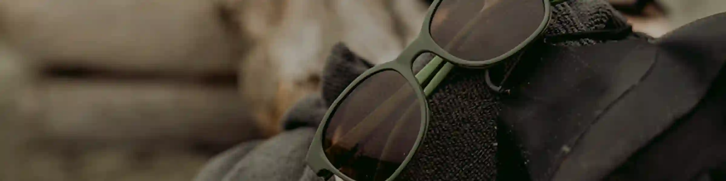 Zeal Optics 