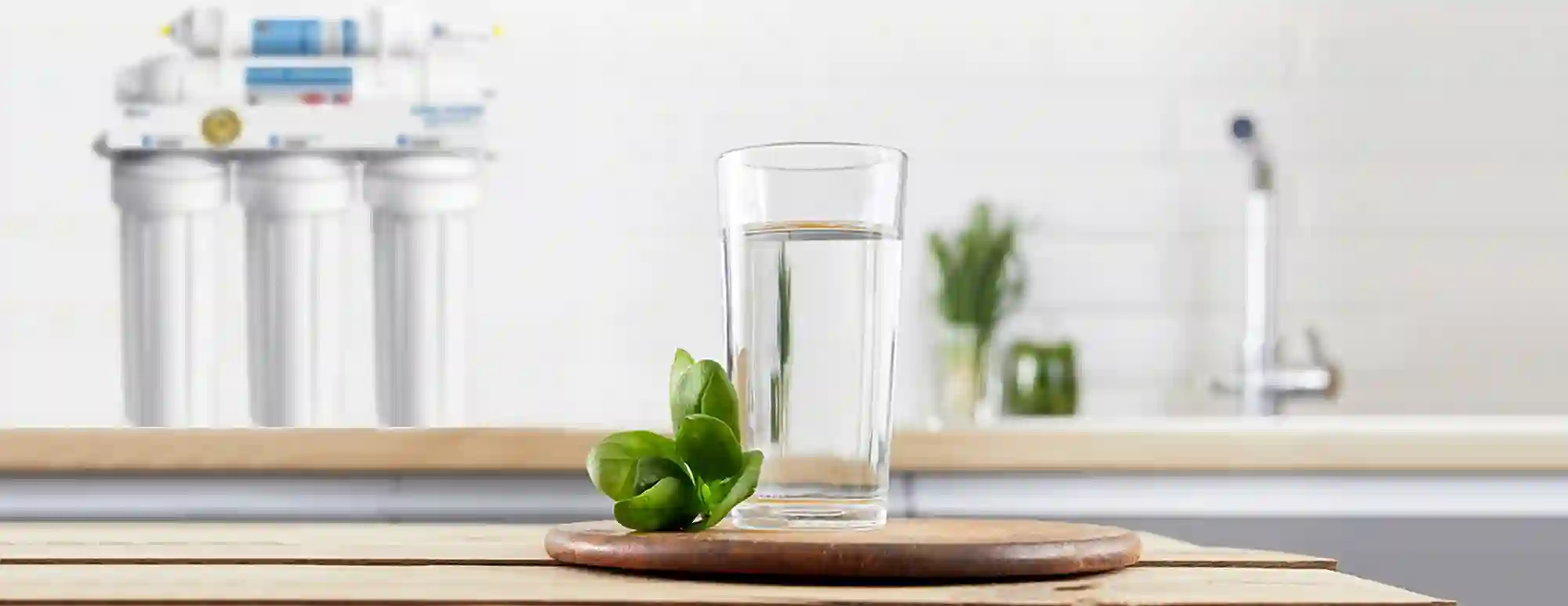 APEC Water