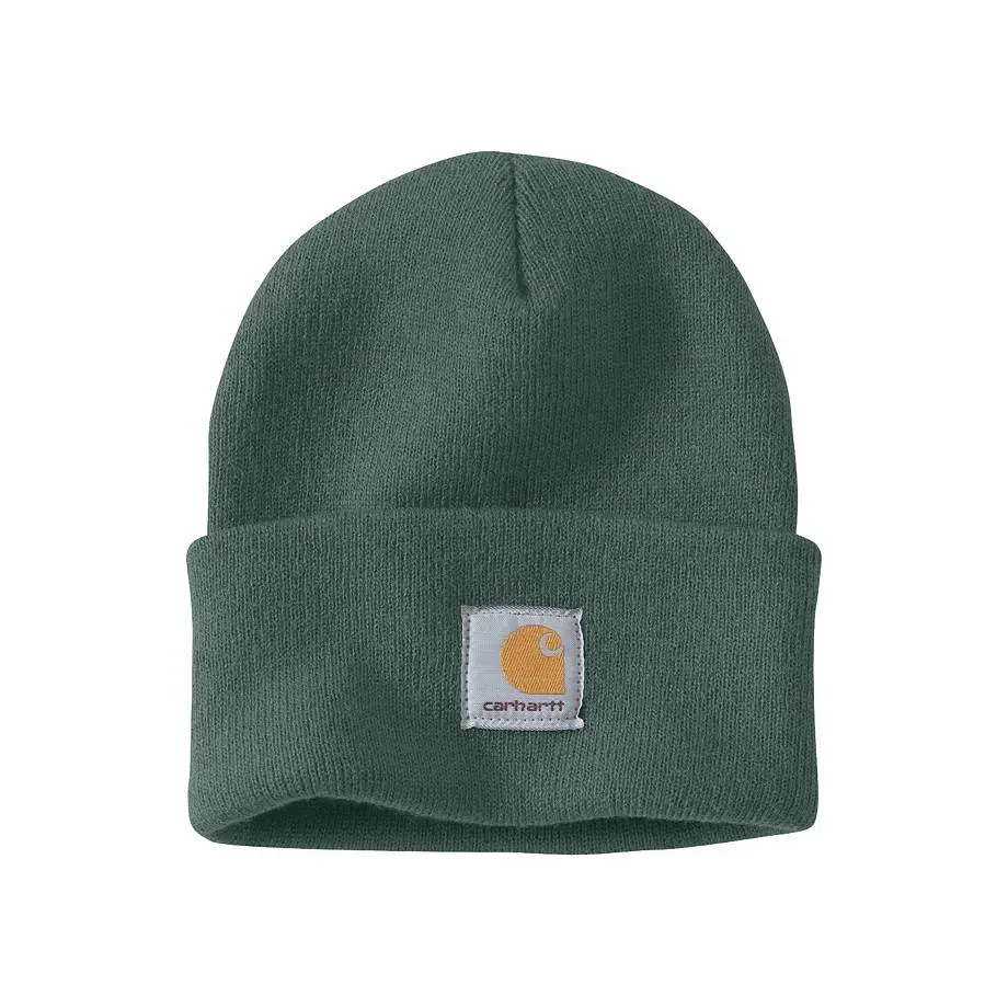 https://activejunky-cdn.s3.amazonaws.com/aj-content/carhartt-beanie-3.png