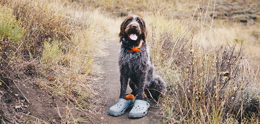 Hiking with All Terrain Crocs