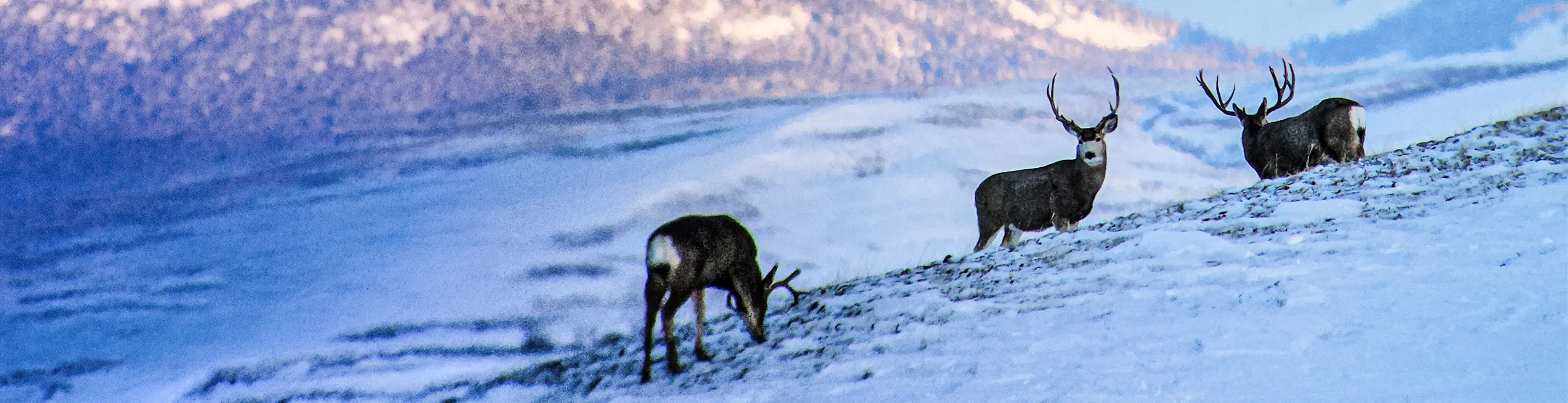 5 Boots and Layers Built for Cold-Weather Hunts