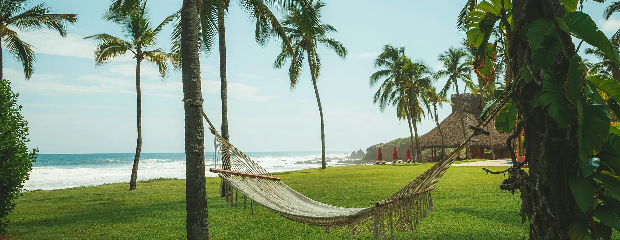 Yellow Leaf Hammocks