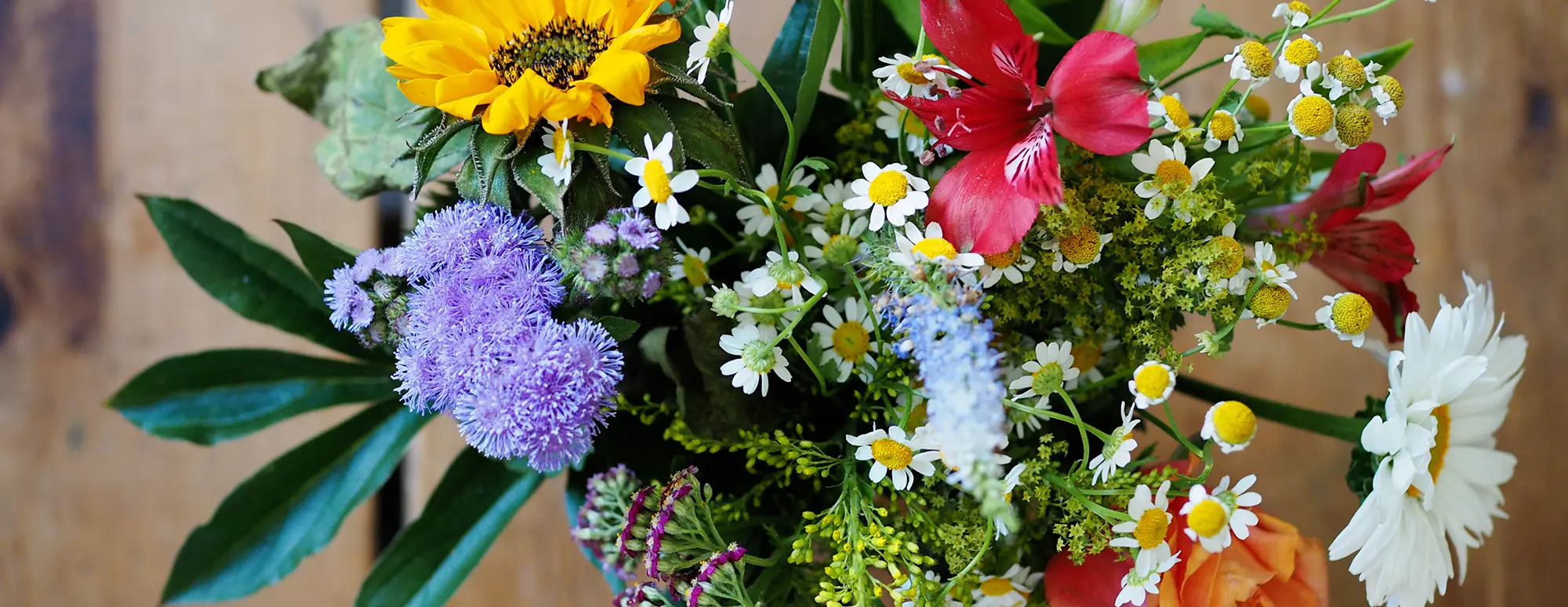 BloomsyBox