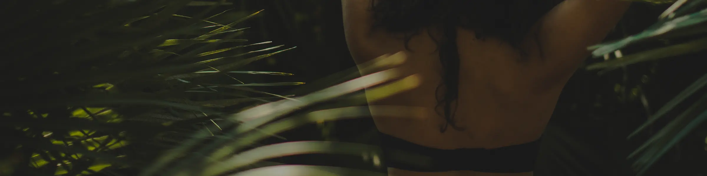 Frederick's of Hollywood