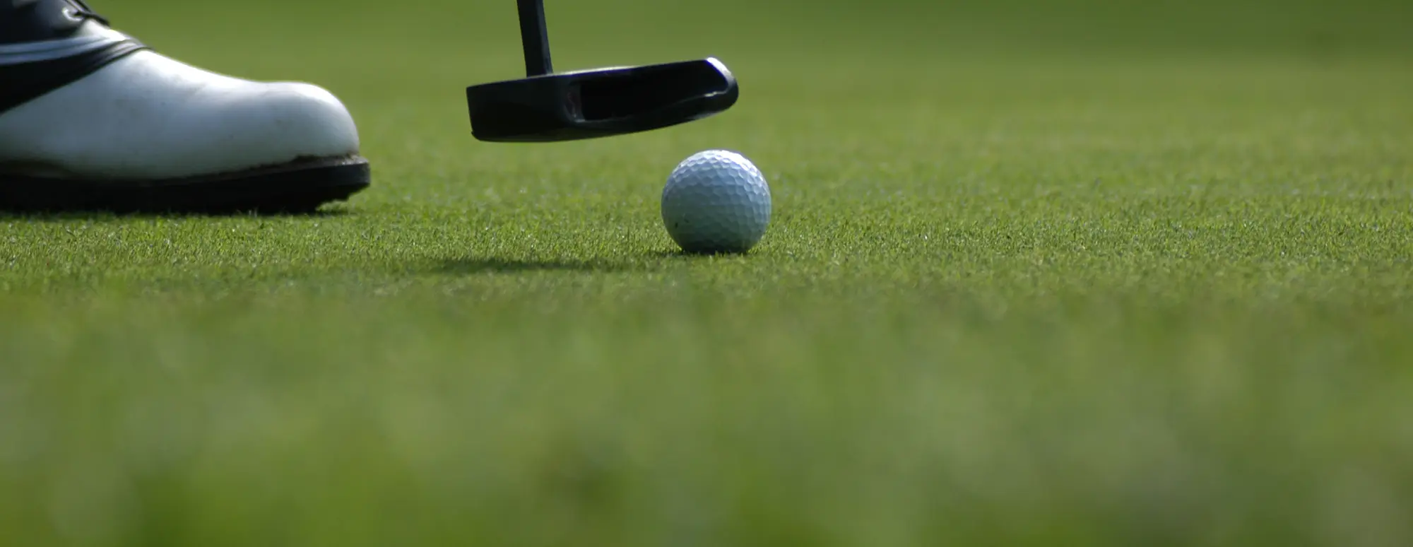 G/Fore