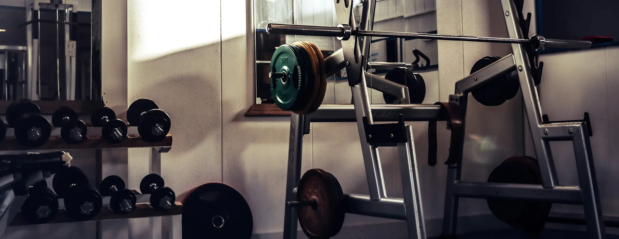Major Fitness