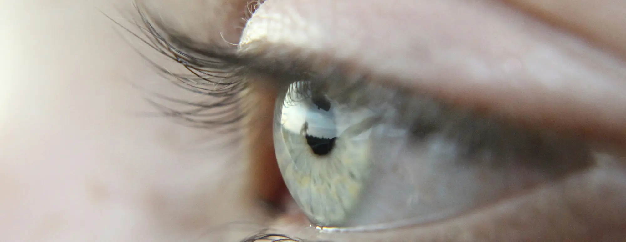 Next Day Contacts