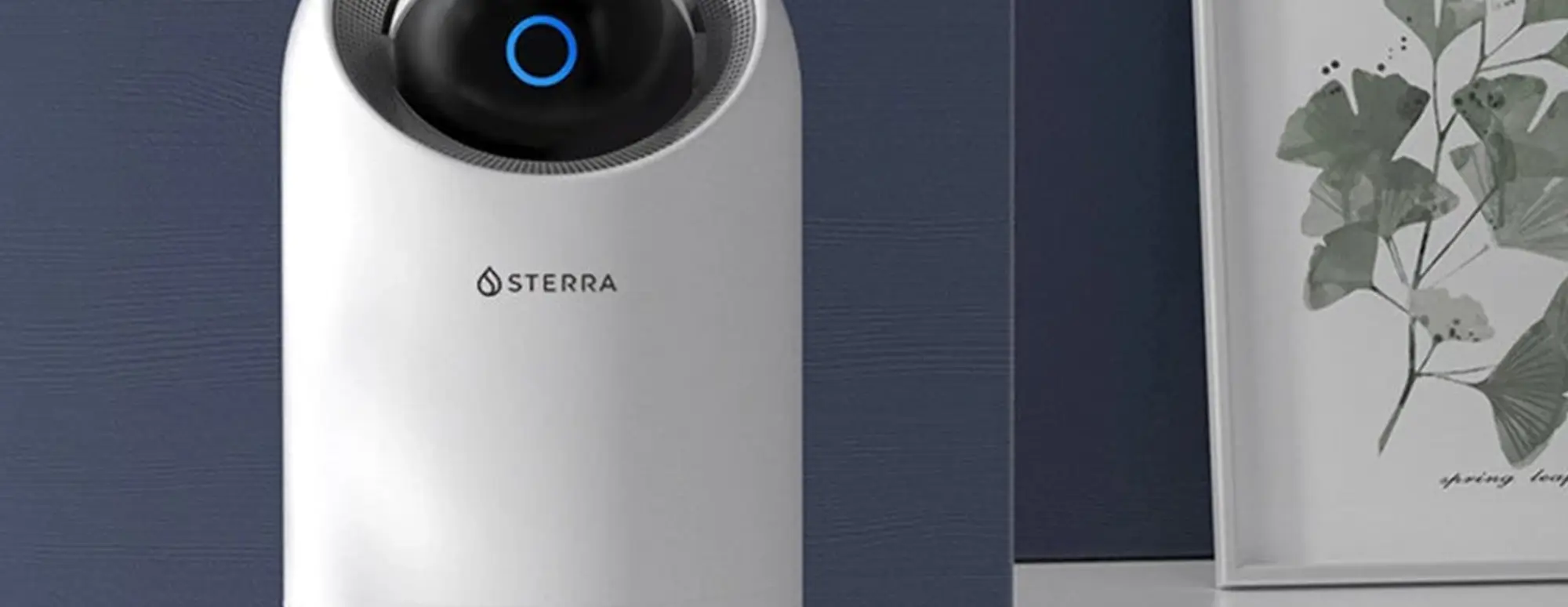 Sterra