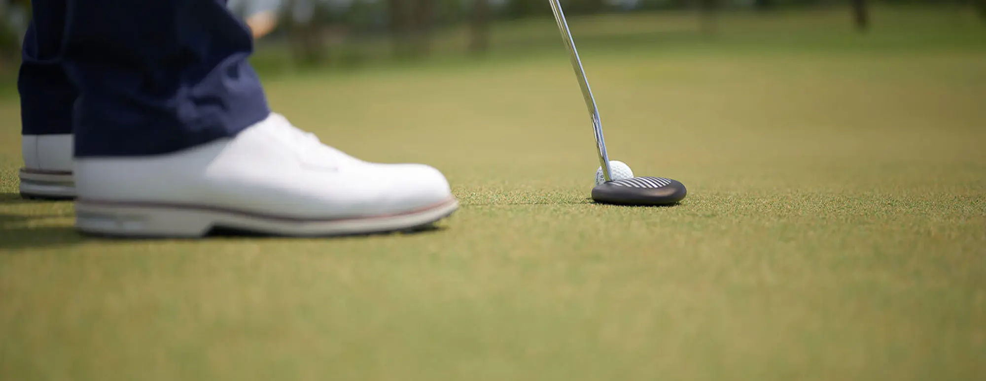 Zebra Golf