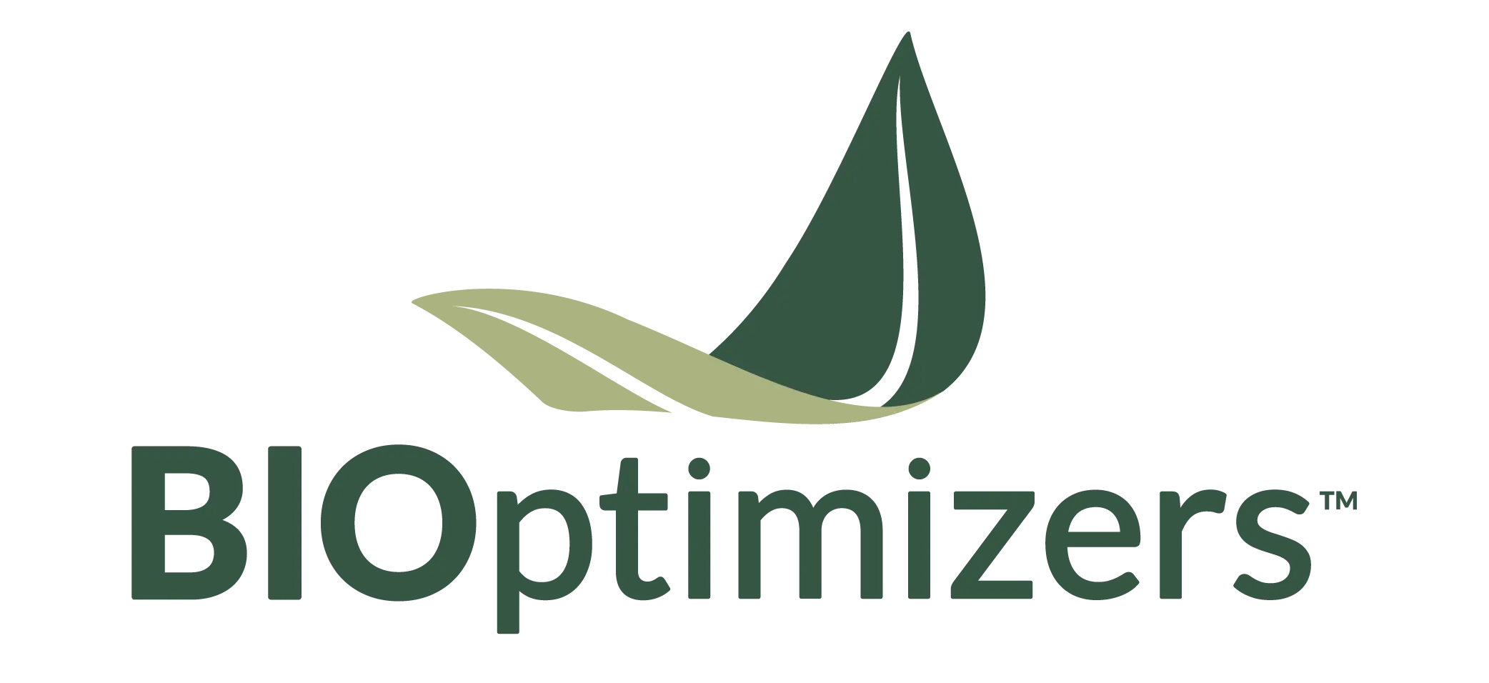 BIOptimizers