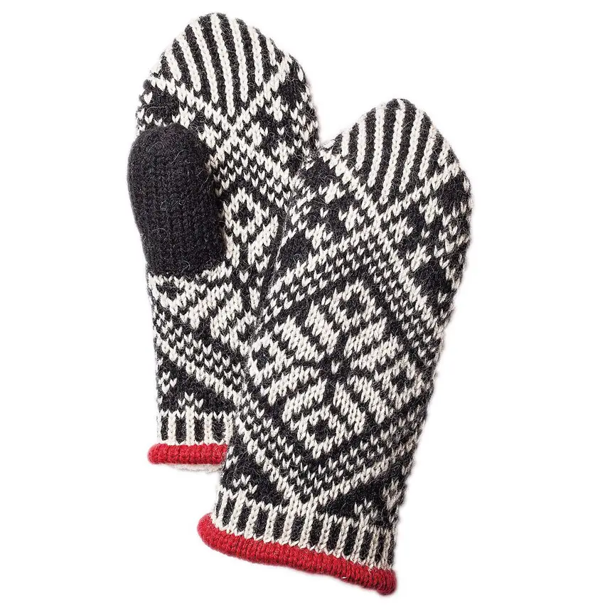 https://activejunky.s3.amazonaws.com/images/thefix_upload/AJ2/hestra-wool-mitts2.jpg