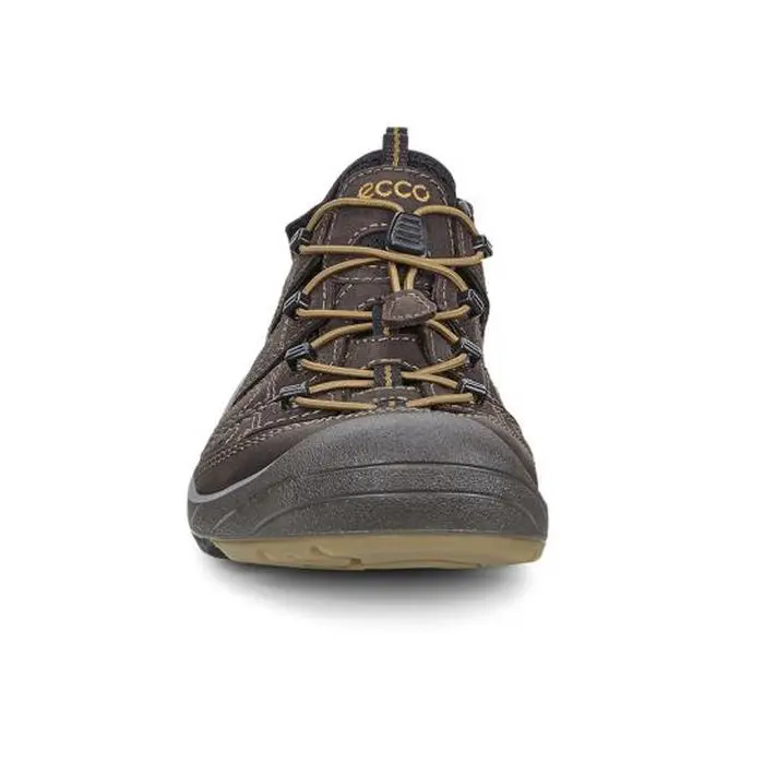 Ecco mens biom delta offroad online