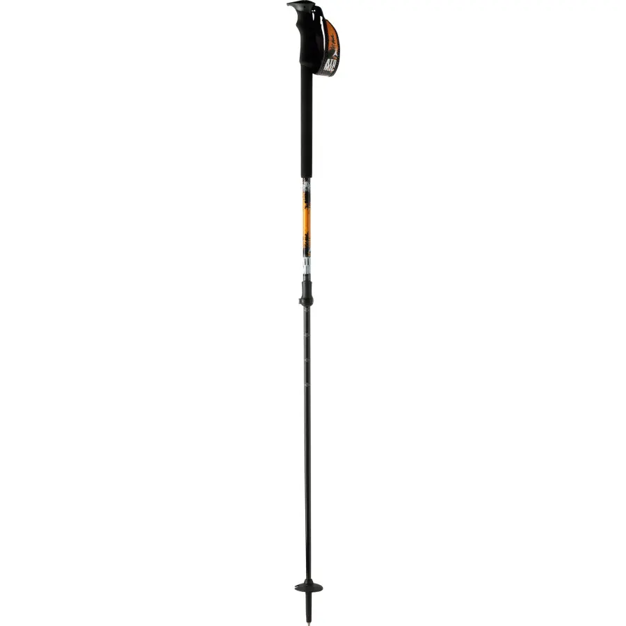 Atomic BCT Ski Poles