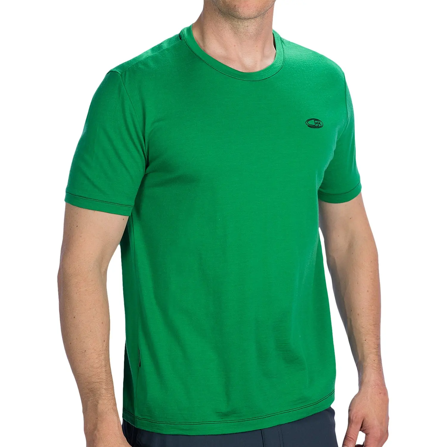 https://s3.amazonaws.com/activejunky/images/thefix_upload/original/icebreaker-tech-lite-shirt-upf-30-plus--merino-wool-short-sleeve-for-men-in-field~p~8234x_03~1500.2.jpg