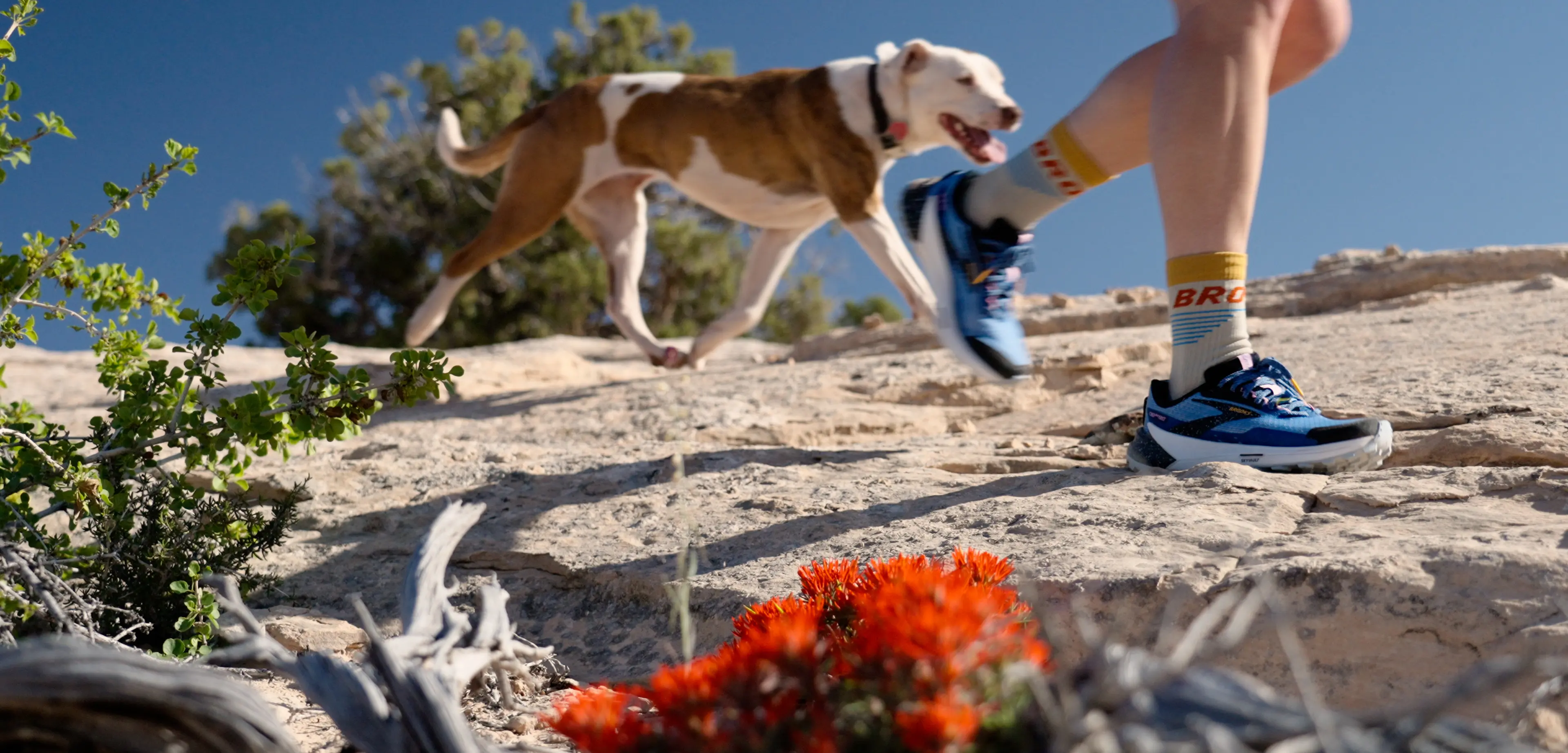 Brooks Trail Running Gear