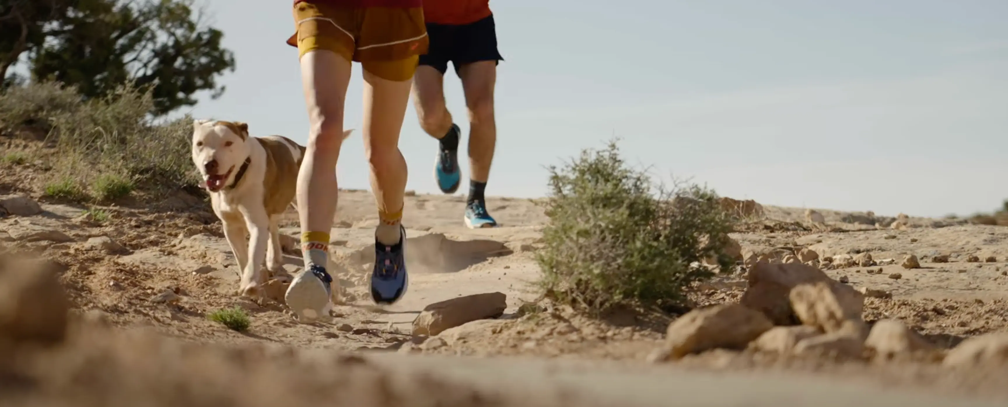 Brooks Running