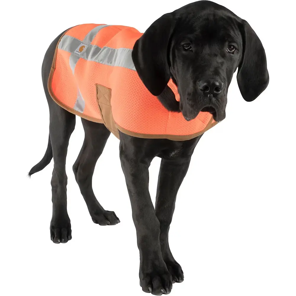 Carhartt Dog Safety Vest, Orange/Brown