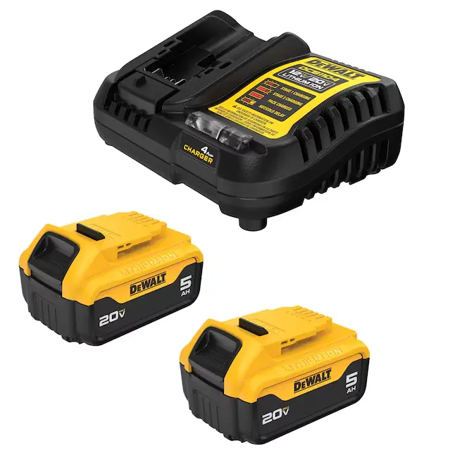 DEWALT 20 -Volt 2 -Pack Lithium-ion