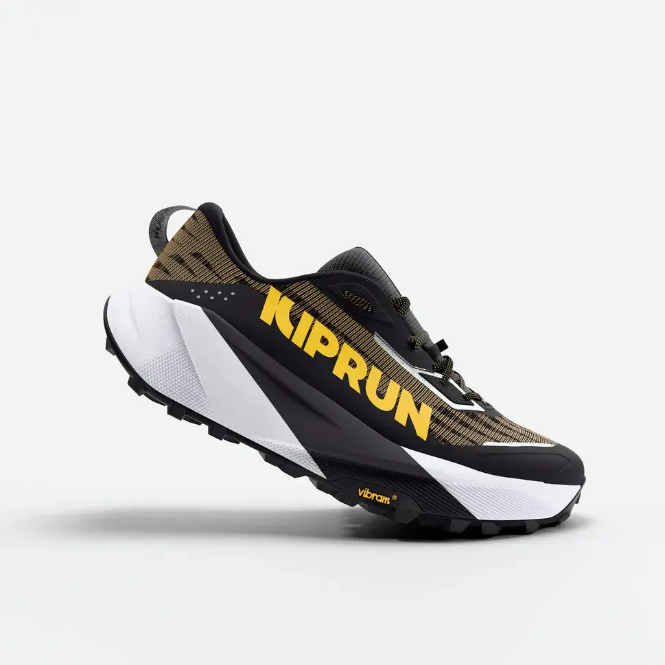 https://s3.amazonaws.com/activejunky-cdn/aj-content/kiprun-summit-2.png