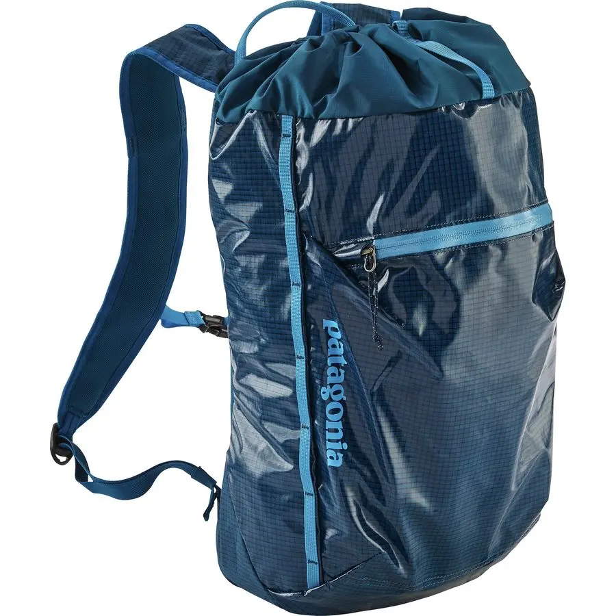 Patagonia foldable backpack best sale