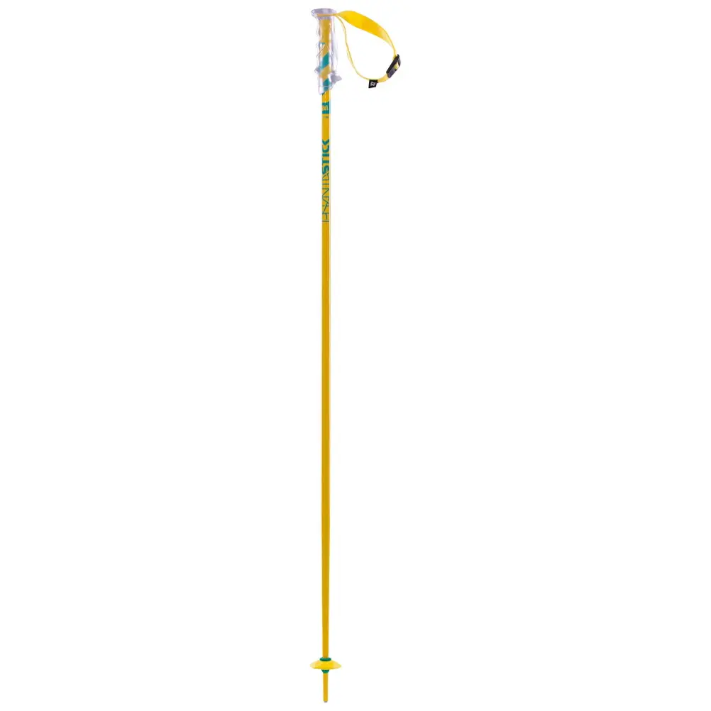 Volkl Phantastick Ski Poles