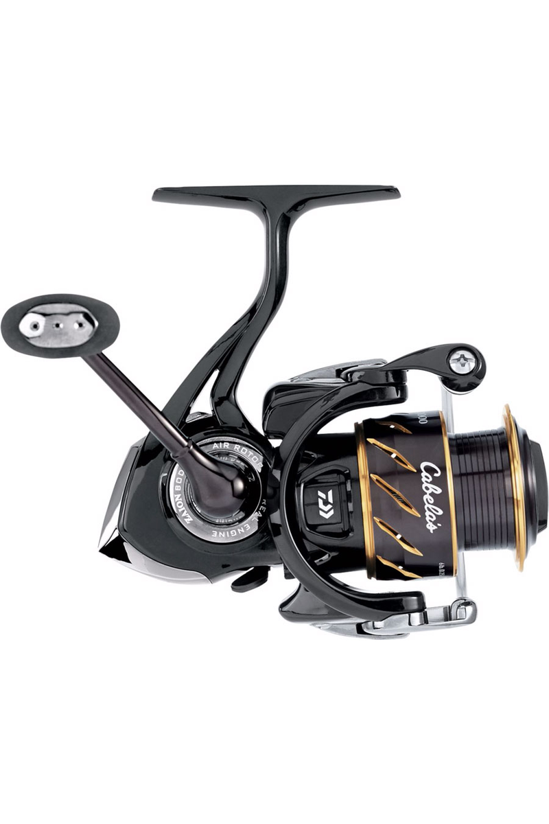 best lures for false albacore fishing The Best Lures for False Albacore